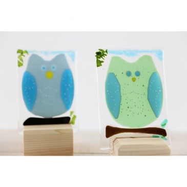 Julia – Cheeky Owls!